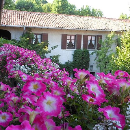 Agriturismo Cassinazza Orsenigo Exteriör bild